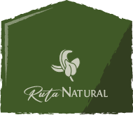 Ruta de la fe
